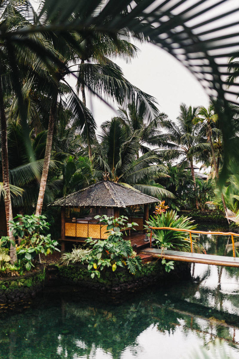 Healthcare Group Calls for Return of Face Mask Guidance